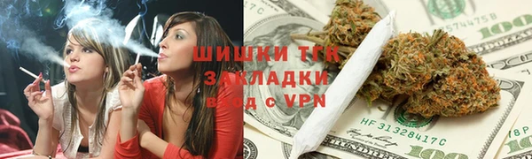 метадон Алексин