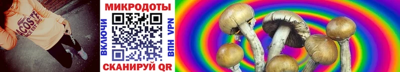 Галлюциногенные грибы Magic Shrooms  Бабаево 